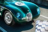 Evergreen Sprint  Axalta Barva roku 2025 - Jaguar C Type